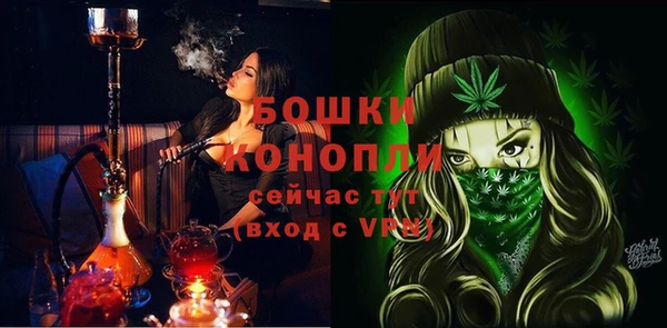 стаф Магадан